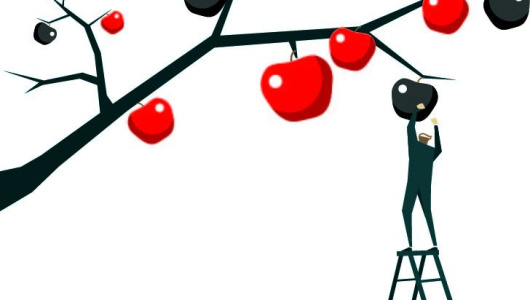 4-6-cover-apple-530x300.jpg