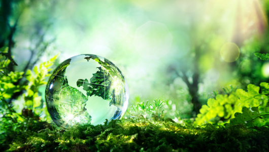 Globe-in-greenery-shutterstock_274566236-scaled-530x300.jpg