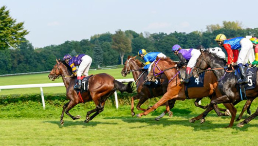 risk management, horse racing